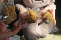 2026.3.22_40-Sevast.muchenikov_39_photo-by-Elena-Fetisova